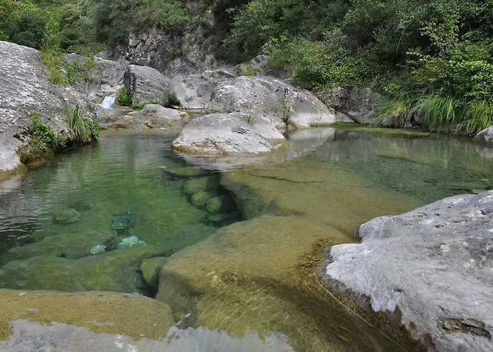 招待所 Sul Ponte 皮尼亚